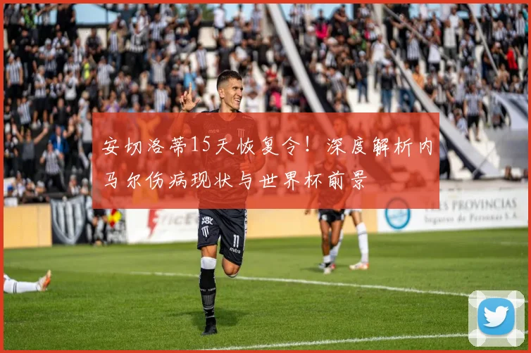 安切洛蒂15天恢复令!深度解析内马尔伤病现状与世界杯前景