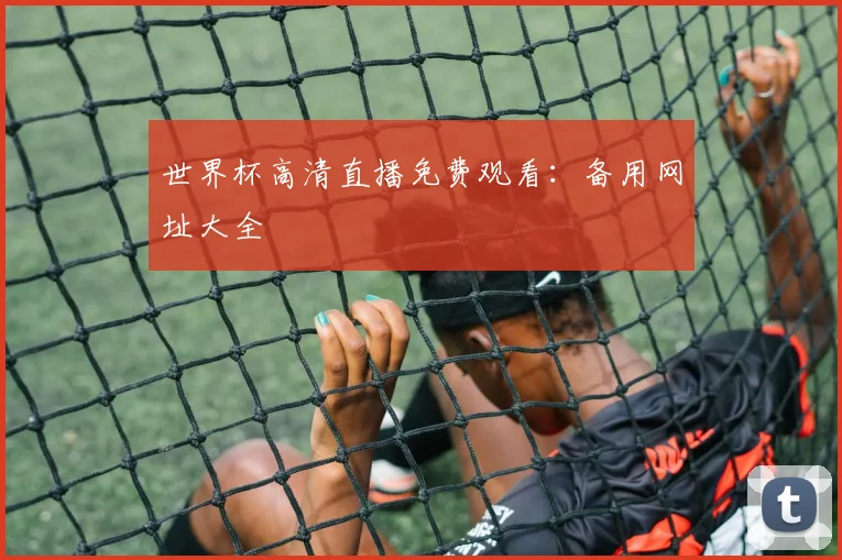 世界杯高清直播免费观看：备用网址大全
